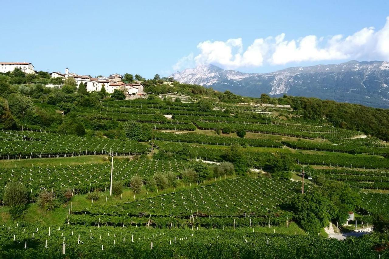Appartamento Per Vacanze "Il Gelso" Rovereto  Luaran gambar