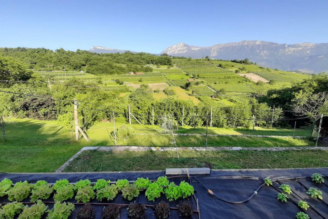 Appartamento Per Vacanze "Il Gelso" Rovereto  Luaran gambar